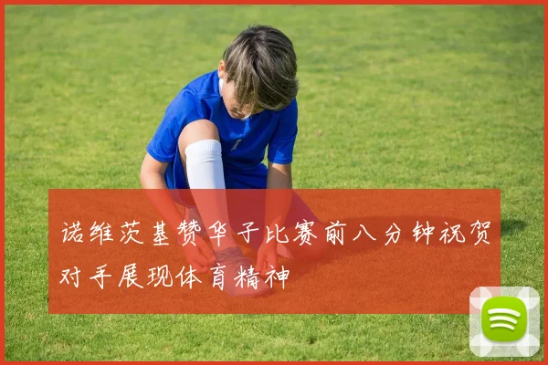 诺维茨基赞华子比赛前八分钟祝贺对手展现体育精神