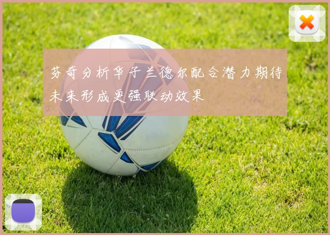 芬奇分析华子兰德尔配合潜力期待未来形成更强联动效果